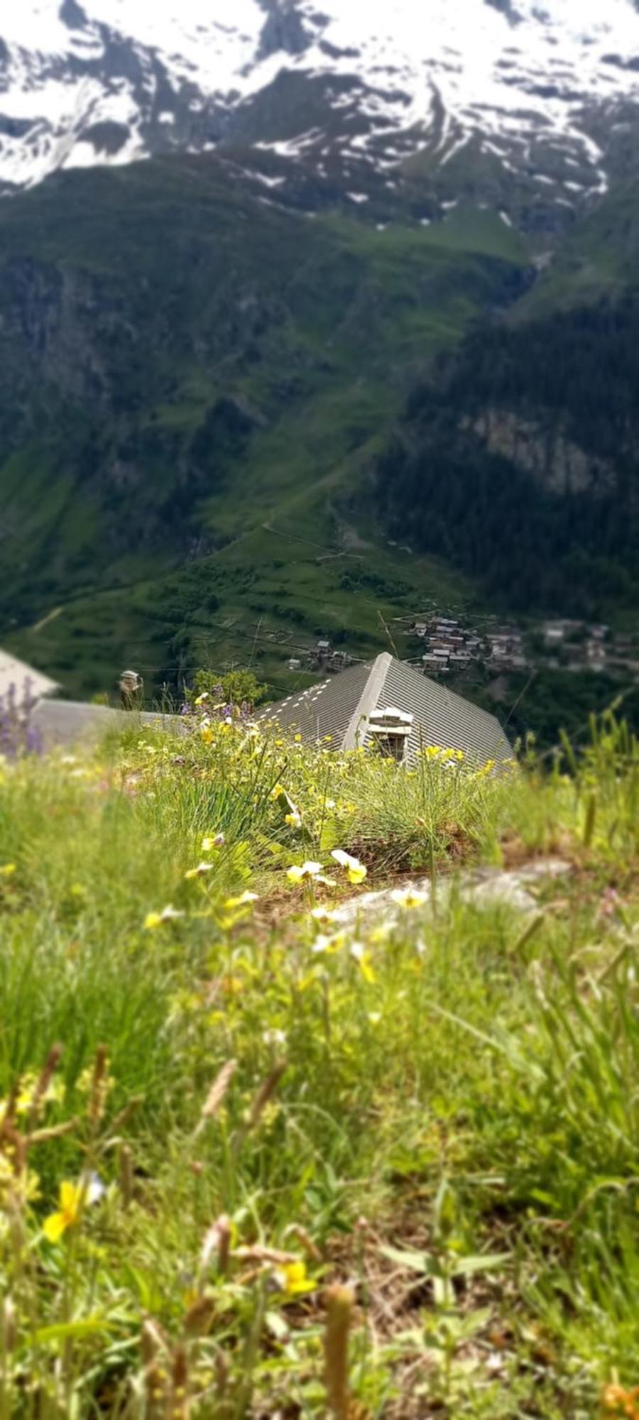 Les Campanules Lejlighed Bourg-Saint-Maurice Eksteriør billede